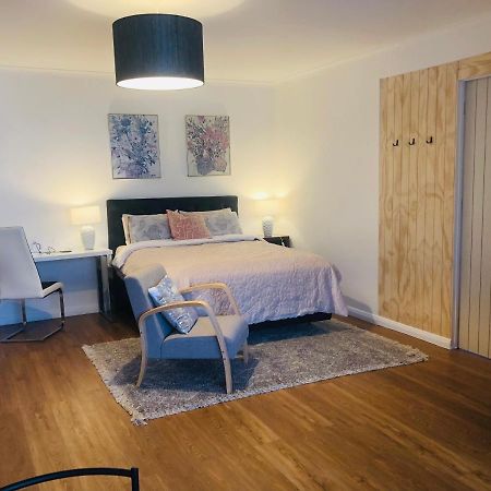 Lux Studio In Dunedin Central Esterno foto